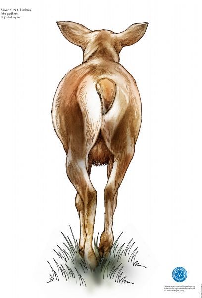 201892 1