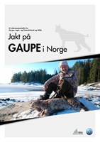 produkt bilde