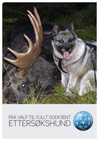 produkt bilde